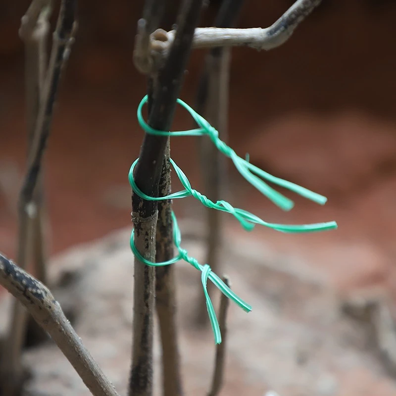 Plastic Coated Garden Twist Tie With Integrated Cutter best