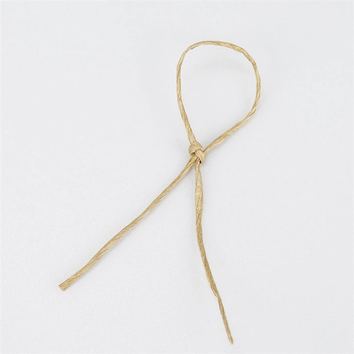 Paper Bag String Twisted Craft Strings Cord Rope