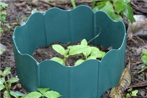 Pp 물자는 토양 플라스틱 야채 정원 정원 작은 울타리를 삽입했습니다